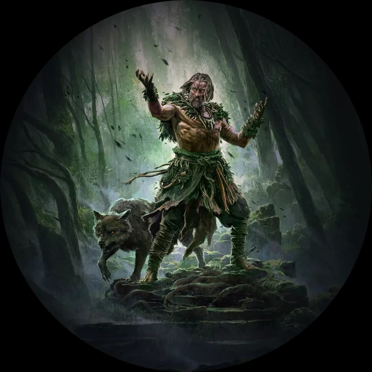 Druid class artwork