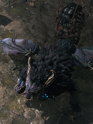 Xyclucian, the Chimera in Chimeral Wetlands