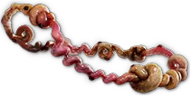 UmbilicusImmortalis