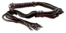 CatONineTails
