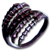 EvergraspingRing