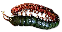 RyslathasCoil