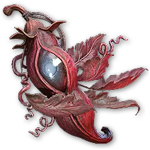 CrimsonChrysalis