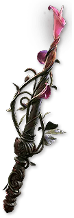 Lifesprig