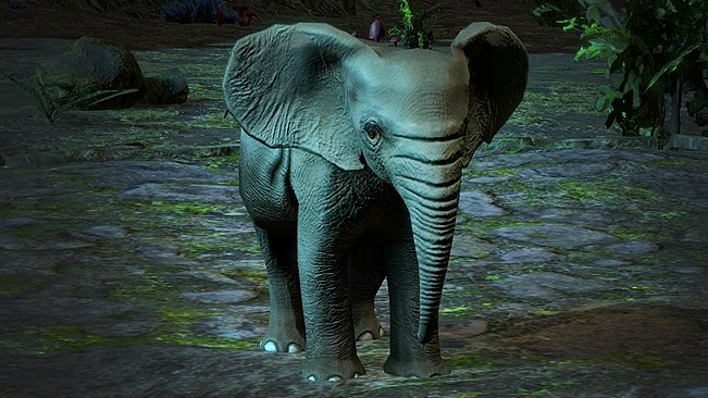 Baby Elephant Pet official media