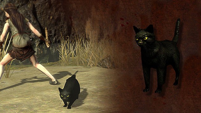 Black Cat Pet official media