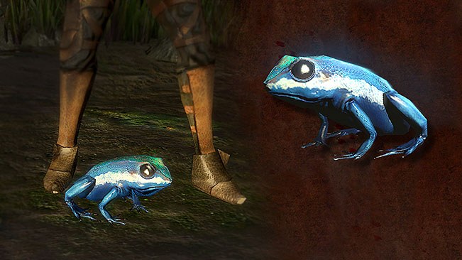 Blue Frog Pet official media