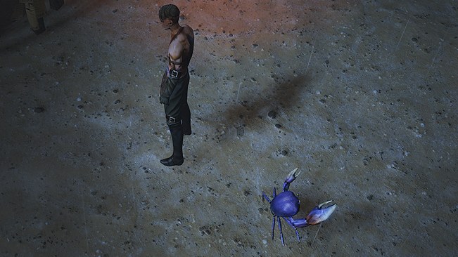 Blue Land Crab Pet official media