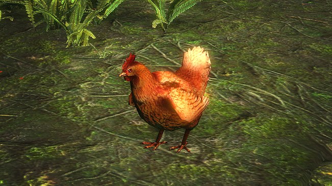 Chicken Pet official media