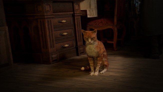 Cinnamon Cat Pet official media