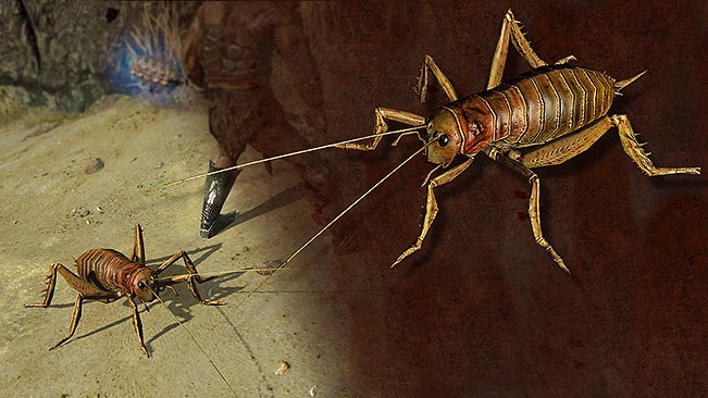 Colossal Weta Pet official media