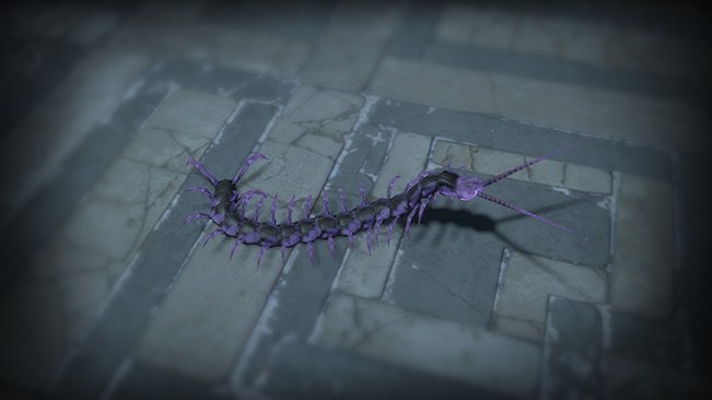 Divergence Centipede Pet official media