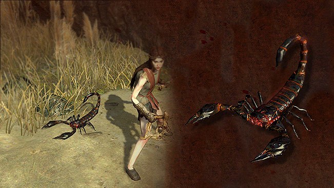 Ebony Scorpion Pet official media