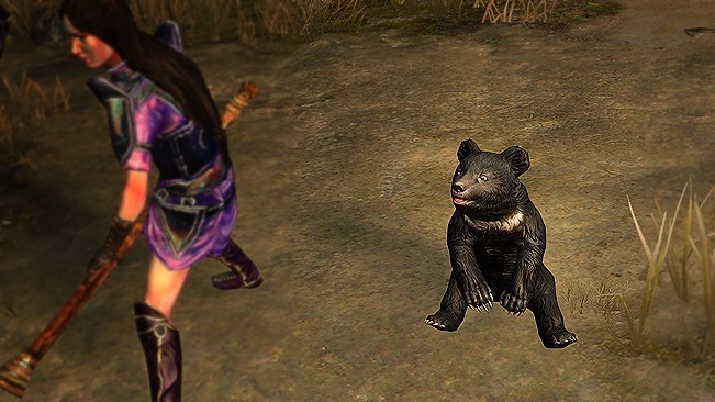 Formosan Bear Pet official media