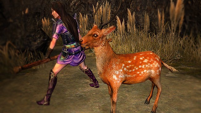 Formosan Deer Pet official media