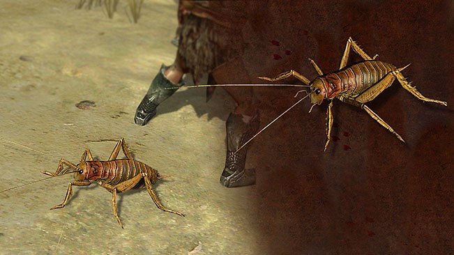 Giant Weta Pet official media
