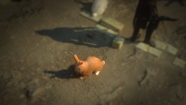 Ginger Rabbit Pet official media