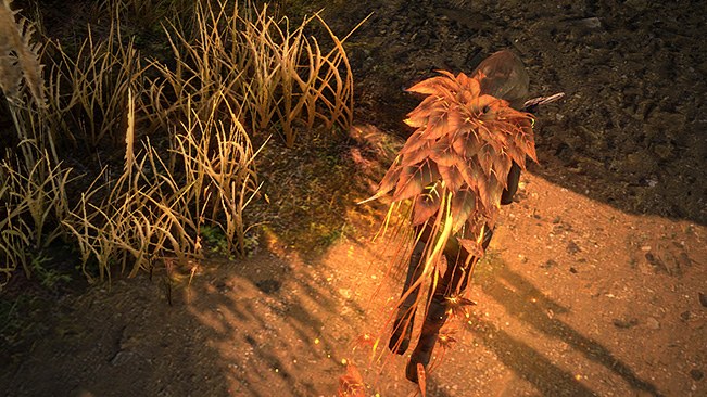Havenwood Cloak official media