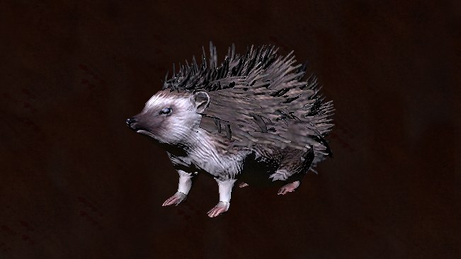 Hedgehog Pet official media