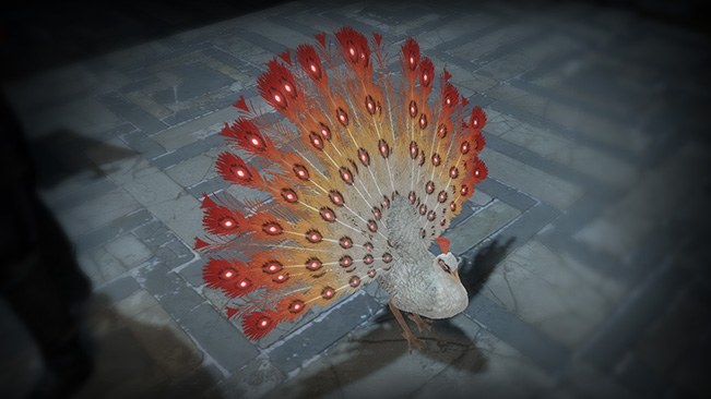 Heritage Peacock Pet official media
