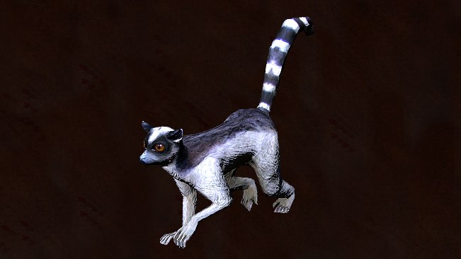 Lemur Pet official media