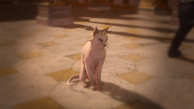 Lightbringer Cat Pet official media