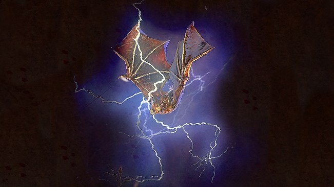 Lightning Bat Pet official media