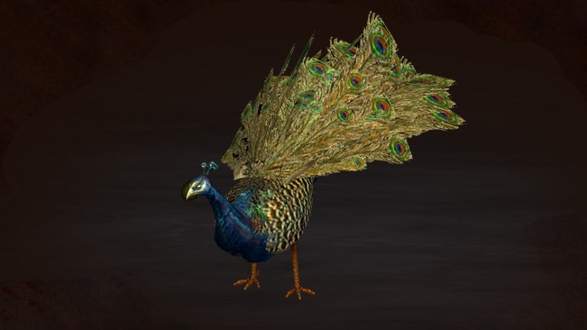 Peacock Pet official media