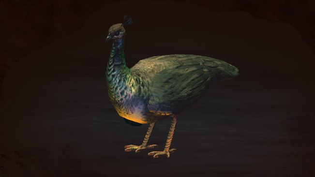 Peahen Pet official media