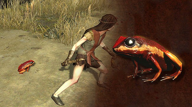 Red Frog Pet official media
