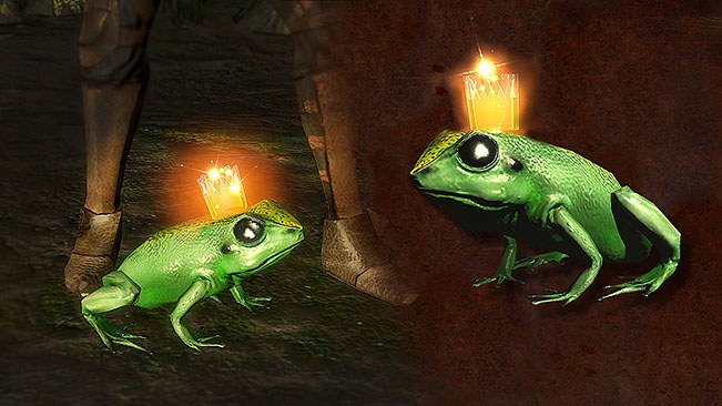 Royal Green Frog Pet official media