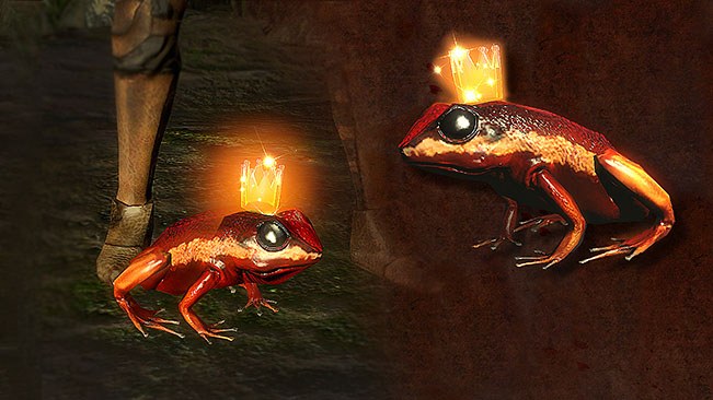 Royal Red Frog Pet official media