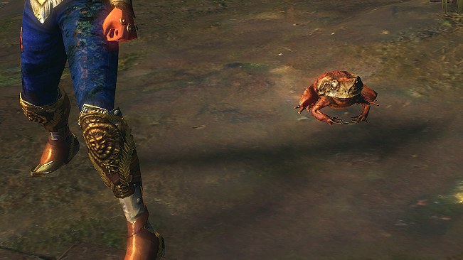Toad Pet official media
