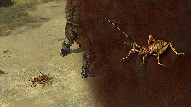 Weta Pet official media